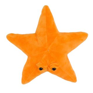 XT9305A-F | Estrela Do Mar Laranja Com Olhos 23cm - Pelúcia
