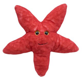 TDG7230E3-F | Estrela Do Mar Vermelho 42cm - Pelúcia