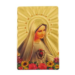 Ímã Retangular Sagrado Coração De Maria 8.5x5.5cm